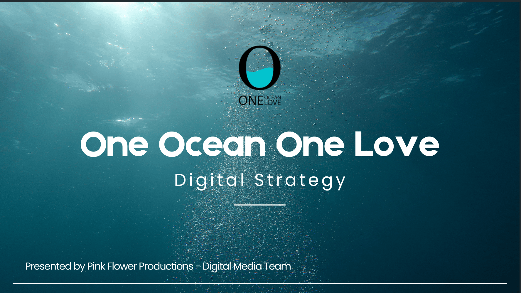 OOOL Digital Strategy