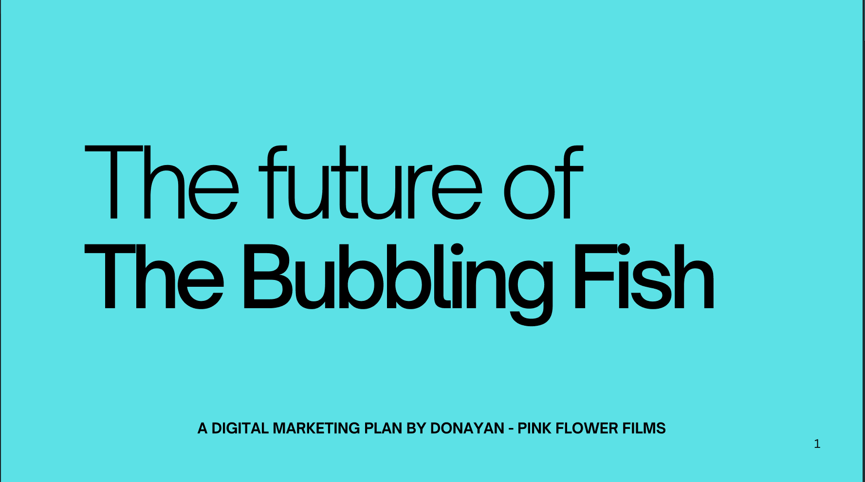 The Bubbling Fish and Nirala - The Plan